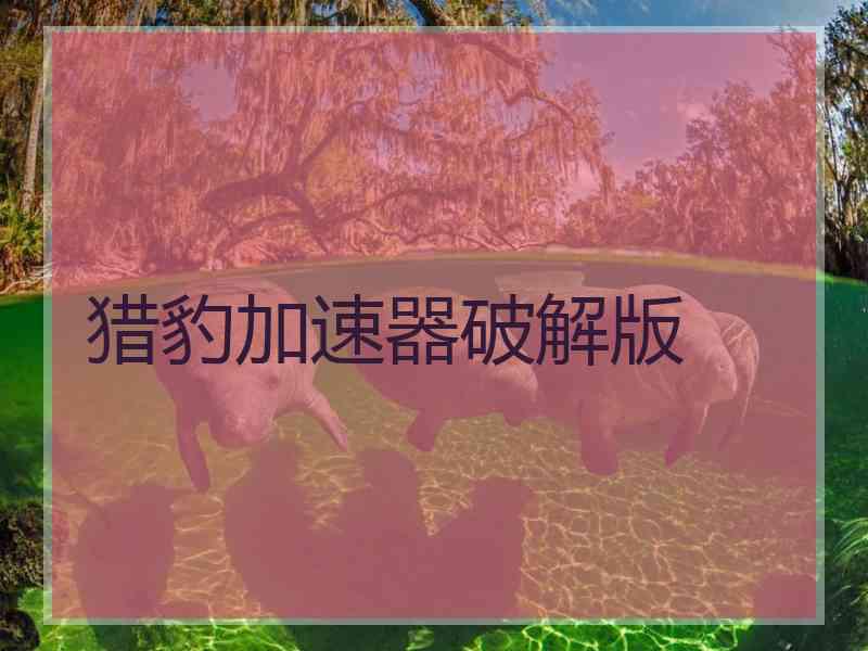 猎豹加速器破解版