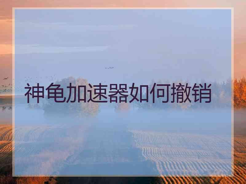 神龟加速器如何撤销