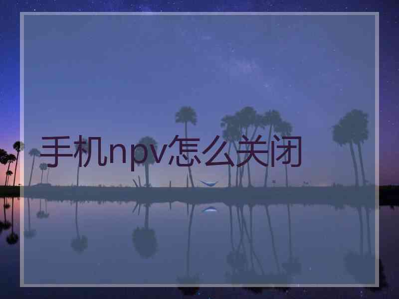 手机npv怎么关闭