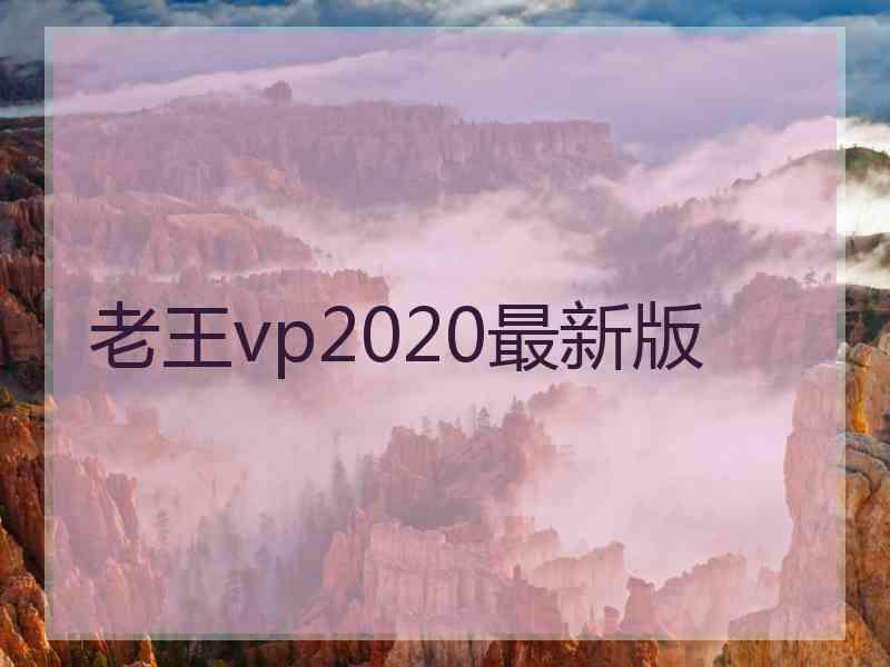 老王vp2020最新版